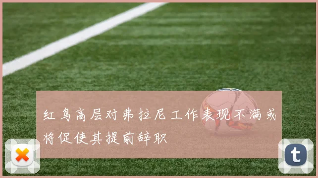 红鸟高层对弗拉尼工作表现不满或将促使其提前辞职